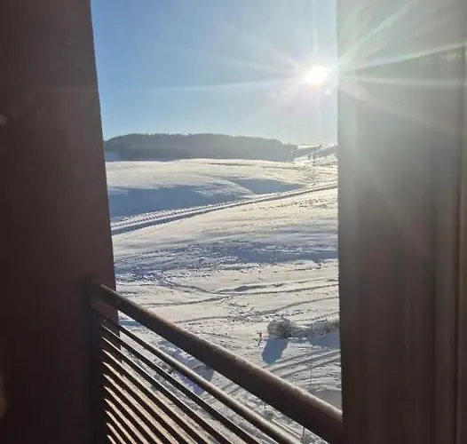 Garfield Daire Zlatibor